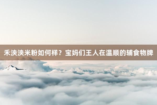 禾泱泱米粉如何样？宝妈们王人在温顺的辅食物牌