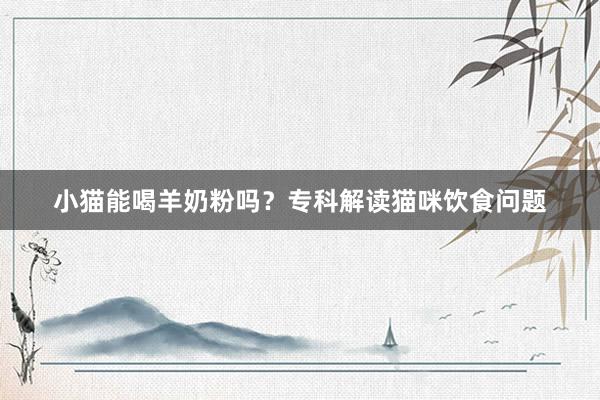 小猫能喝羊奶粉吗？专科解读猫咪饮食问题
