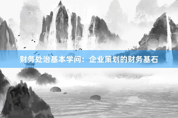 财务处治基本学问：企业策划的财务基石