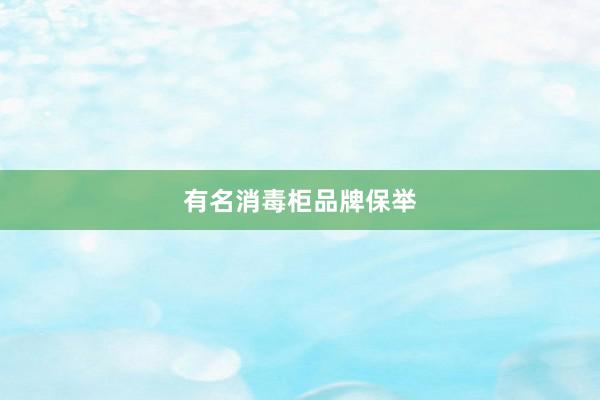 有名消毒柜品牌保举