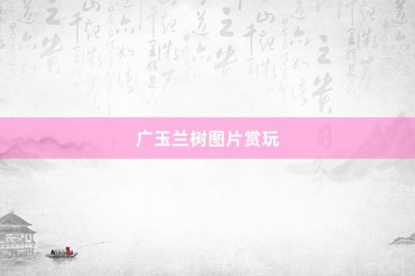 广玉兰树图片赏玩